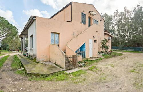 Homes in the Lagoons of Santa Giusta - Foto 59