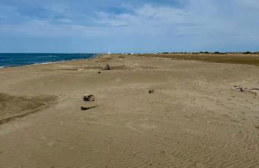 Salin de Giraud - Foto 13