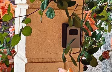 La Brocante - Foto 1