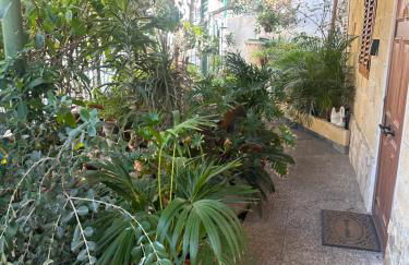 Casa Elisa Canarias - Foto 2