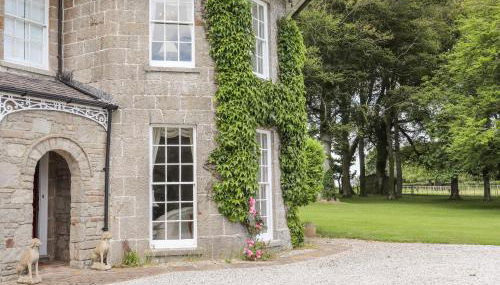 Tal Gwynedd - Foto 3