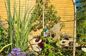 Bosko beztrosko - Foto 39