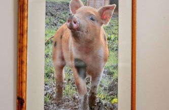 Haven House Gorgeous Lymington Home with Garden and Studio near New Forest - Foto 27