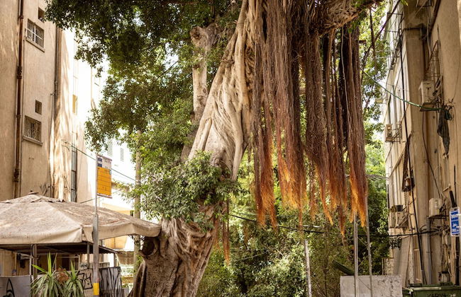 Cozy Charm STU Haifa CTR by Sea N' Rent - Foto 21