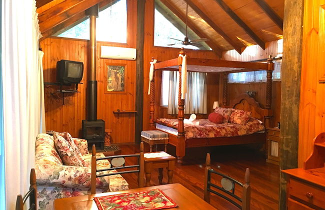 Ecostudio Fellini - Foto 25