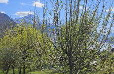 The Heritage Home - Foto 27