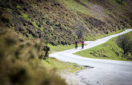 Glan Llyn Farm House - Foto 22