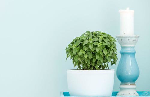 Paradise Design Apartments - Foto 30