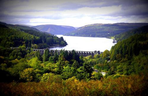 Sheep Dip Cottage - 5* Cyfie Farm, with log burner and private hot tub - Foto 23