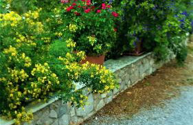 Manto Studios - Photo 58