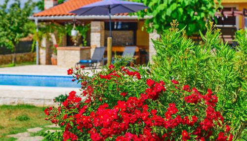 Sunny house - Foto 5