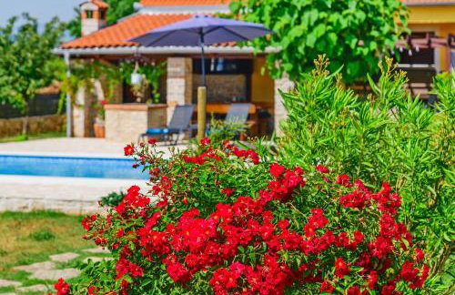 Sunny house - Foto 5