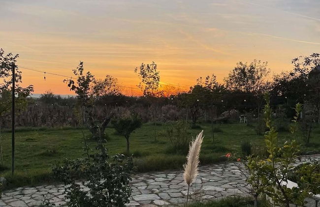 Lahuta e Vjetër Agroturizëm - Foto 80