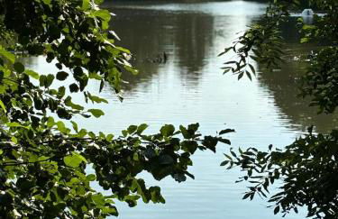 schöne Einliegerwohnung mit Stellplatz - Foto 17