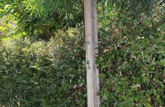 Appartement - Foto 12