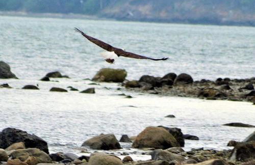 TideAway Farm on Private Island! Escape & Indulge Mother Nature! - Foto 9