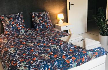 Le toit des Vosges demeure Historique Appartement neuf et climatisé - Foto 7