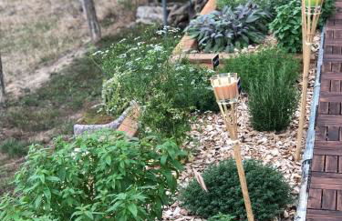 Mare aux nénuphars - Foto 9