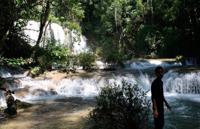 Passeggiata nella Foresta Lacandona in spagnolo - Da Palenque - Foto 1