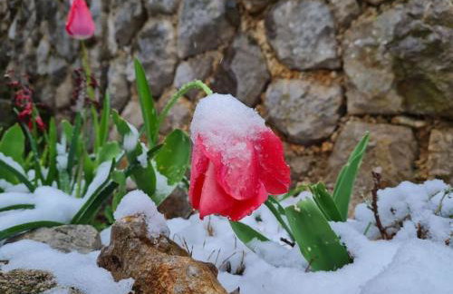 Zgora mora-above the sea-peacefull,family frendly - Foto 41