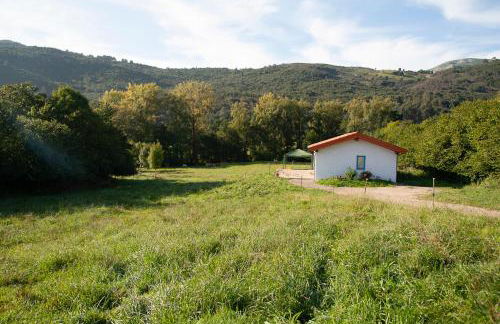 La madriguera azul - Foto 2