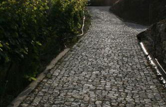 Casa da Oliveira - Photo 31