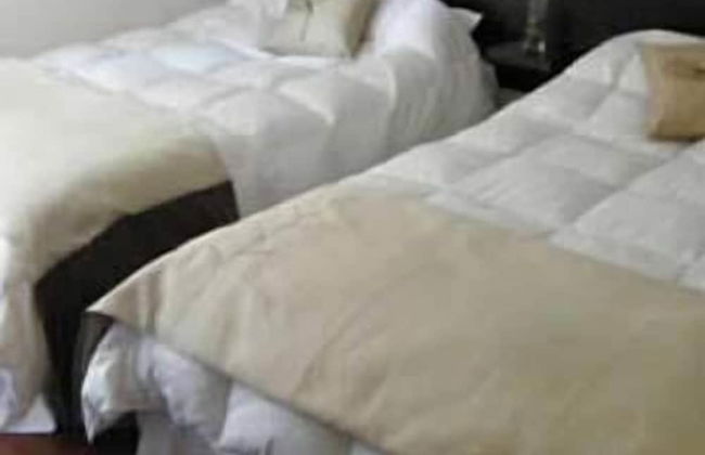 Santiago Suite Apartment - Photo 7