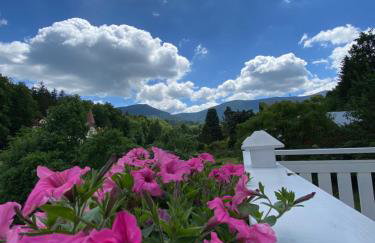 Apt FIONA1 Centrum700m Parking Bezpłatny Monitorowany Salon TV Sypialnia TV Kuchnia Łazienka Rekuperacja - Photo 34