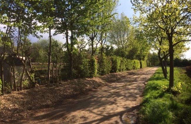 Apartment in Netherlands Near Dusseldorf - Foto 19