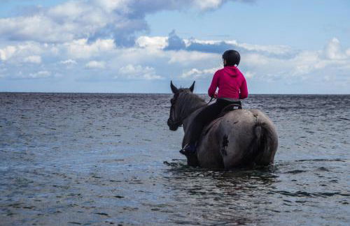 Staberhuk Baben - großer sonniger Balkon - XL Wohnung - Foto 27