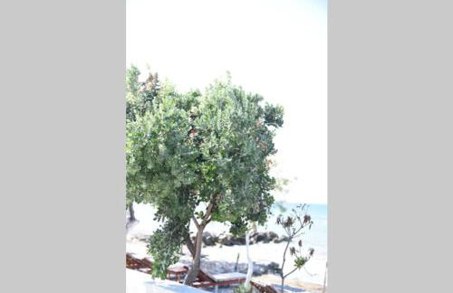 Family Apartments 4 - Foto 27