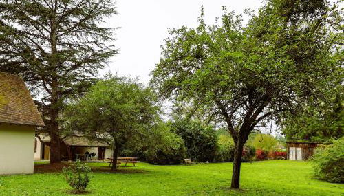 Le Clos André - Climatisation - Jardin - Chambord - Foto 4