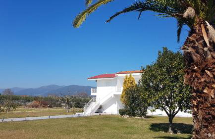 Silver villa Raches maisonette & Green - Foto 6