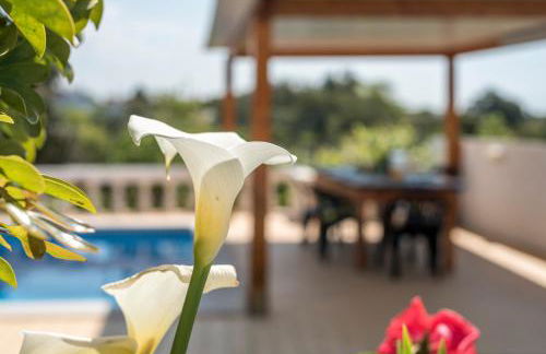 Villa Sao Miguel - Armacao de Pera - Foto 19