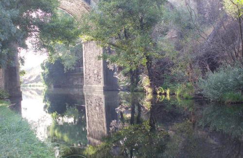 La Grulla Gris - Foto 34