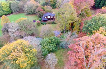 Finca La Peñiga - Foto 3