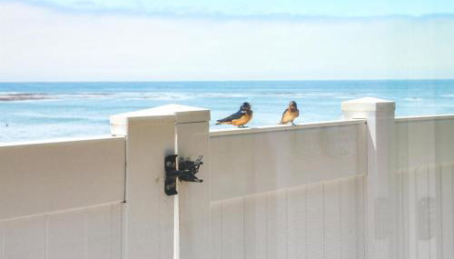 Star of the Sea Oceanfront Escape w Views - Foto 5