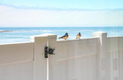 Star of the Sea Oceanfront Escape w Views - Foto 5