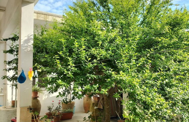 Guest House Salentojoy - Foto 9