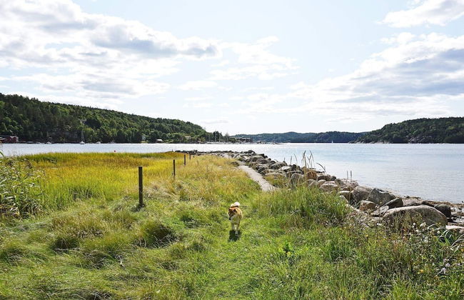 5 Person Holiday Home in Henan - Foto 14