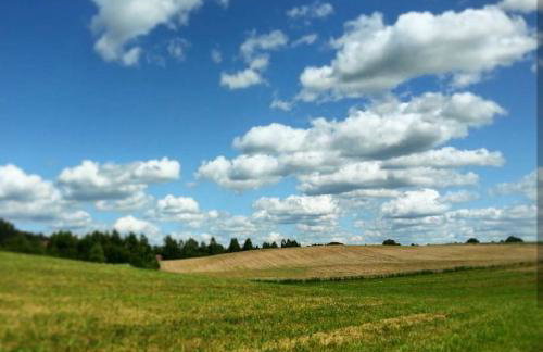 W starej szkole - agroturystyka - Foto 79