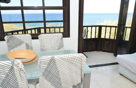 El BAJIO Nr 6 - Foto 25