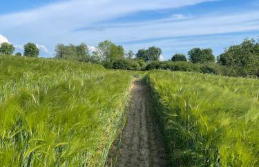 Großes Familienapartment über 2 Etagen mit Weitblick in die Natur - Foto 7