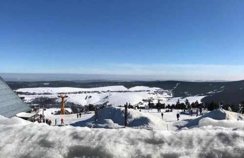 Fewo-Michi - Foto 17