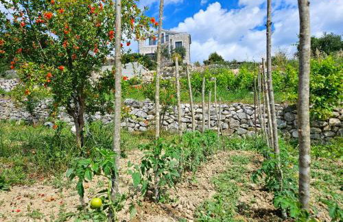 Villa Bepina, surrounded by sea, olive, vineyard - Photo 53