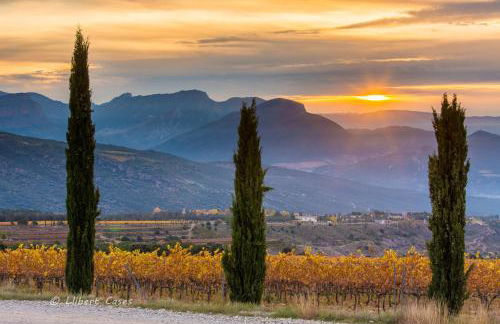 Lo passeig - Foto 55