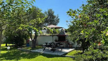 Rosa's Garden House - Foto 3, Garden, Garden view