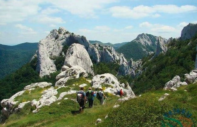 Your Perfect Adriatic Getaway - Photo 13