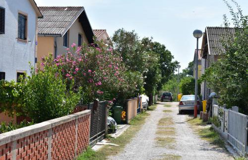 Apartman Nin-Dodo - Foto 38