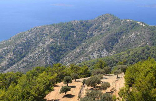 Stone Built Rustic House - Foto 62